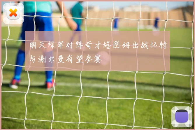 明天绿军对阵奇才塔图姆出战怀特与谢尔曼有望参赛