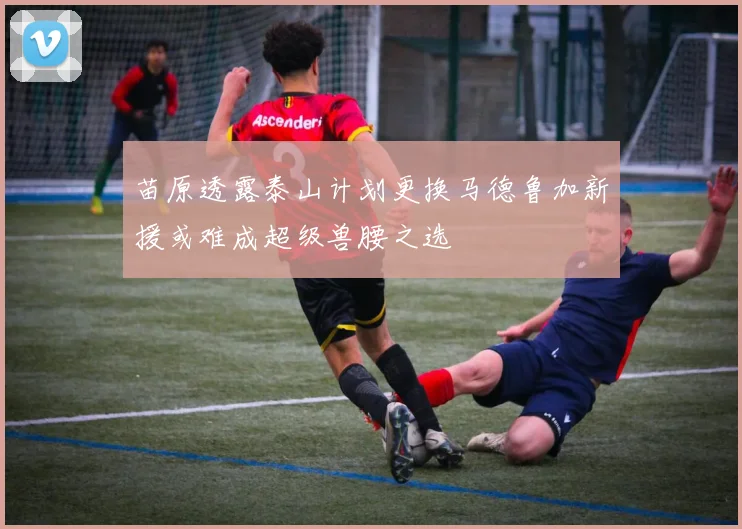 苗原透露泰山计划更换马德鲁加新援或难成超级兽腰之选